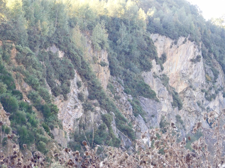1-front de taille.JPG