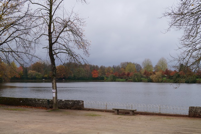 Le parc urbain = réserve du GONm et les belles couleurs de l'automne