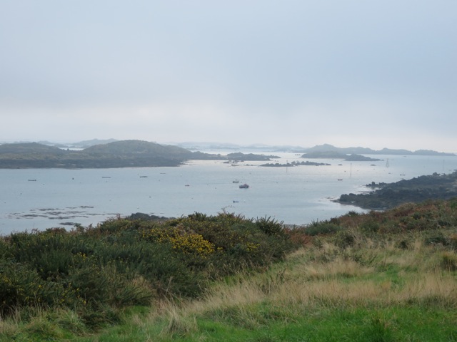 Brume matinale.jpg