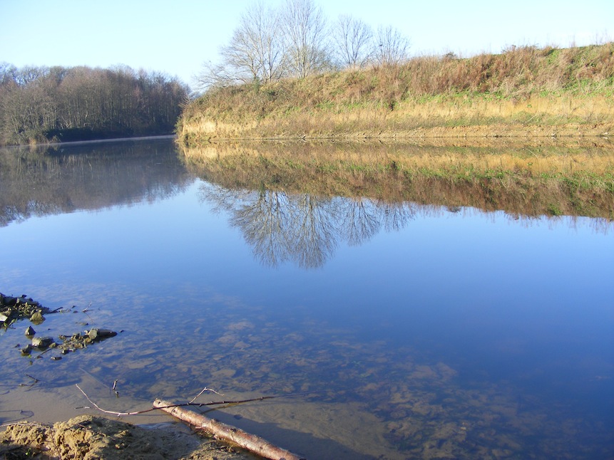 Au fond, le site occupé par le martin-pêcheur.JPG