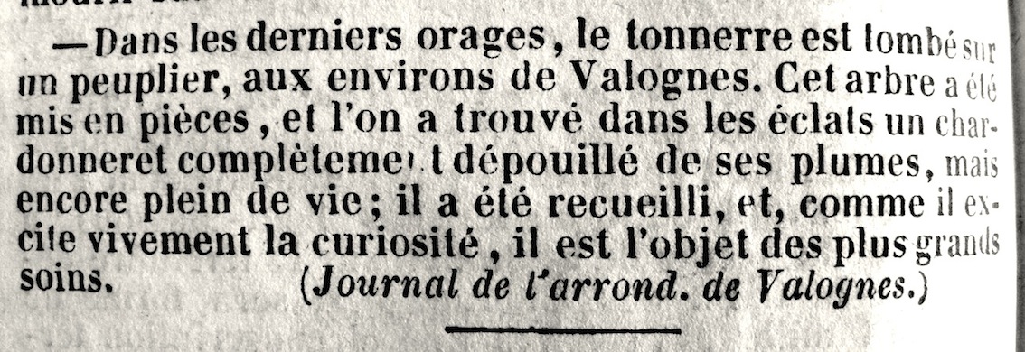 1- Le Journal d'Avranches, septembre 1842.JPG