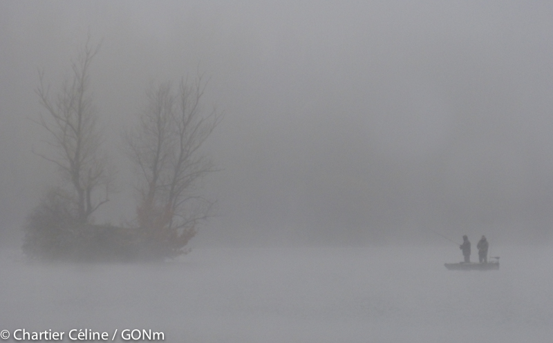 Brouillard sur le lac du Mesnil à Poses
