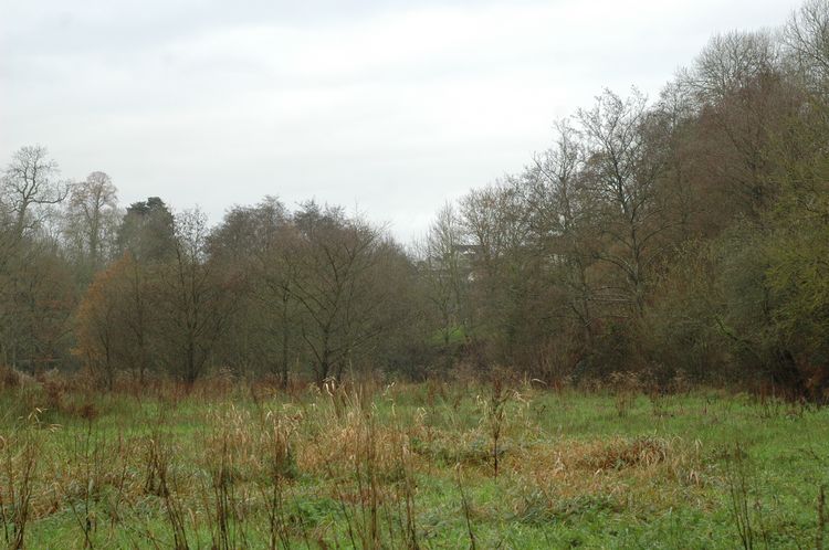 Prairie humide, à l'est du vallon, en amont. A droite, on devine le cours du ruisseau de la Dollée et sa ripisylve à tarins et chardonnerets.