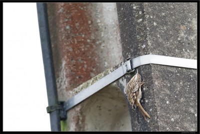 Ce qui s'appelle &quot;inspecter les recoins&quot;!
