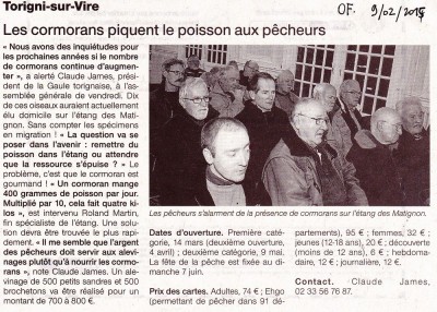 gctorigni50OF090215.jpg (249.64 Kio) Vu 6257 fois Grand cormoran, rubrique locale, Torigni sur Vire OF 09_01_15