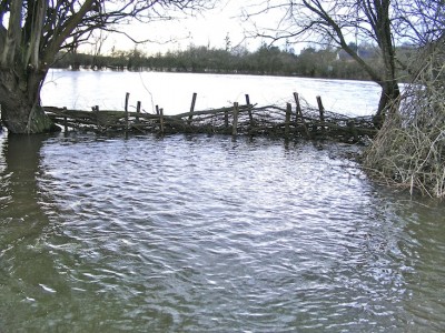 En cours de montage, le barrage de branches de saule.