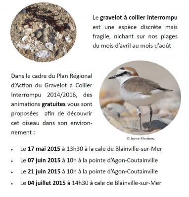 Programme_Clémence_Blainville