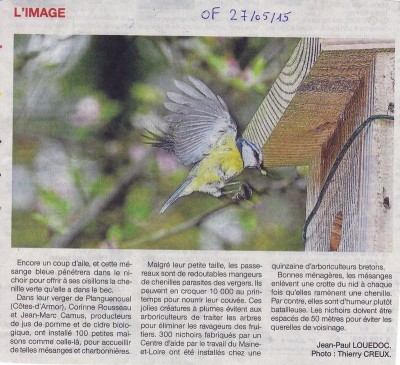 mesangevergerOF.jpg (163.92 Kio) Vu 8292 fois Des nichoirs pour mésanges dans les vergers bretons.
