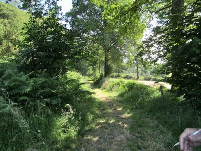 Photo Marie-Agnès Pottier : un chemin intérieur à la propriété du refuge des Ponceaux