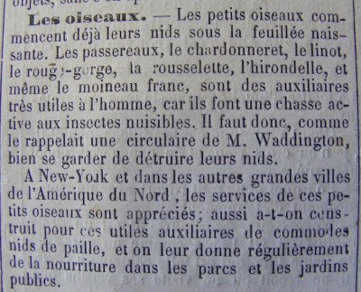 Des nids de paille pour les auxiliaires, ancêtres de nos nichoirs; et si ça vient de New-York, c'est moderne... La rousselette et le linot ont bien de la chance!<br />(Le Nouvelliste, n°18, dimanche 30 avril 1876)