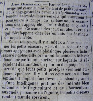 En 1875, le sarrasin n'a pas encore été remplacé par le tournesol. Mais le nourrissage hivernal qui nous paraît maintenant si banal est une invention récente, localement en tout cas. Dommage que le Grand comptage des oiseaux du jardin ne soit pas encore en place, nous en saurions beaucoup plus sur l'avifaune normande de cette fin du 19e...<br />(Le Nouvelliste, n°3, dimanche 16 janvier 1876)