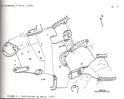 Localisation des territoires de merle après remembrement; encore faut-il préciser que plusieurs de ces territoires s'appuient sur les tas de souches encore en place temporairement...<br />Le Cormoran (1978), 3 : 51.