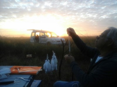 Alain  dans le soleil levant. Il opère  stoïquement une pesée,  au milieu de  la pétarade de l'ouverture de la chasse. (Photo : Philippe Gachet)