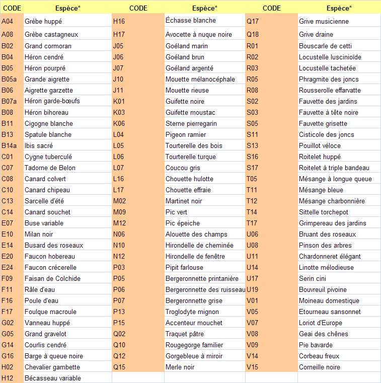 Liste des espèces observées