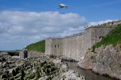 iledulargeRP2.jpg (165.18 Kio) Vu 12972 fois Recensement Ile du Large. Mai 2015