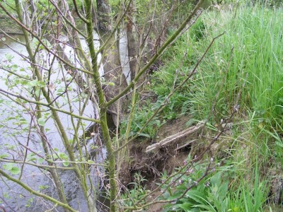 Piquet de clôture métallique (probablement planté il y a plus de 50 ans) déchaussé par l'érosion.