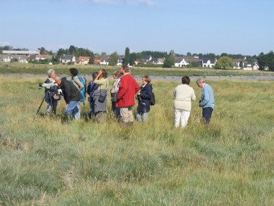 &quot;La Baie&quot;, quel espace pour le balbuzard...