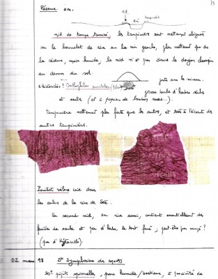 Extrait du cahier de notes JCo15- 01/03/1998 p73.