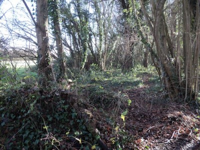 Un élément original de la ferme : une ancienne voie de chemin de fer a été acquise par l'ancien propriétaire et laissée en l'état, après le constat qu'elle n'était pas utilisée par les randonneurs, créant ainsi une bande boisée remarquable.