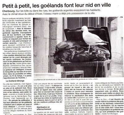 Goélands de Cherbourg dans Ouest France 17_01_2016