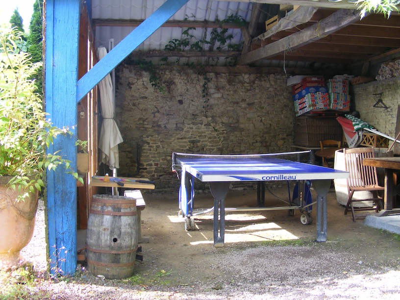 Une mésange bleue nommée Diogène.JPG