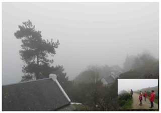 Brume.jpg