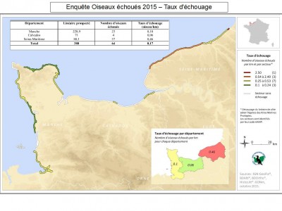 taux echouage.jpg