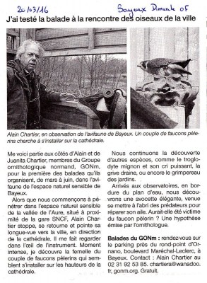 L'ornithologue et le pélerin de Bayeux. Dimanche OF