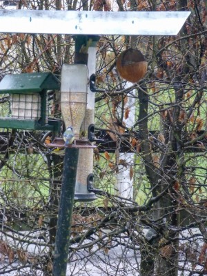 Poste de nourrissage