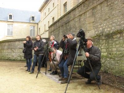 IMG_0425.JPG (133.49 Kio) Vu 14602 fois Mais que sont-ils en train d'observer?