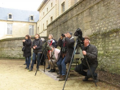 Mais que sont-ils en train d'observer?