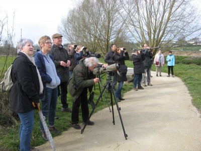 IMG_0417.JPG (136.26 Kio) Vu 13113 fois Et là? Un faucon crécerelle, peut-être.