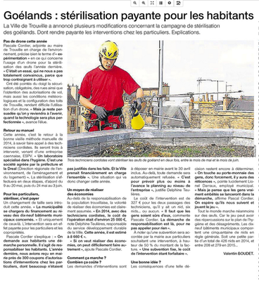 Stériliser les oeufs de goélands coûte cher!