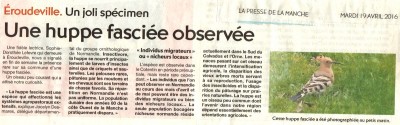 huppe50PDLM19042016.jpg (131.09 Kio) Vu 9025 fois La huppe dans la Presse de la Manche