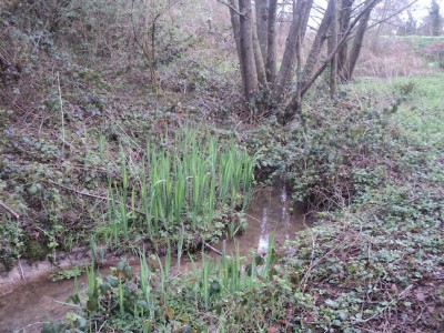 le ruisseau de l'Arséantise