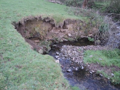 le ruisseau de la ferme du Petit Changeons