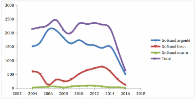 Graphique montrant l'évolution des populations de goélands de Tatihou.