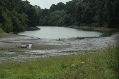 Le site du plan d'eau de Fumichon aux Ruinières. La cigogne est la tache noire au milieu.