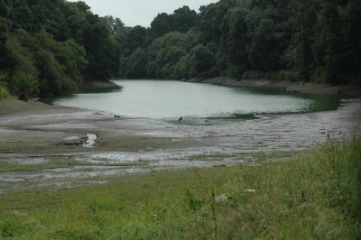 DSC_7947.JPG (156.72 Kio) Vu 13003 fois Le site du plan d'eau de Fumichon aux Ruinières. La cigogne est la tache noire au milieu.