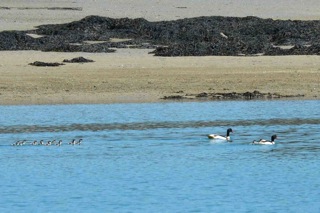 (photo Xavier Corteel)