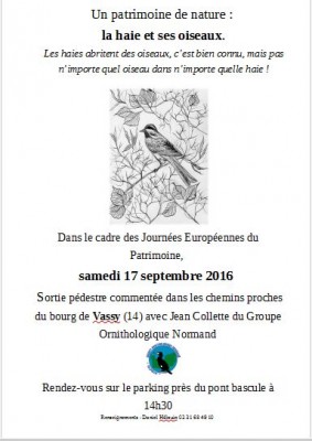 Affiche de l'animation de Vassy.
