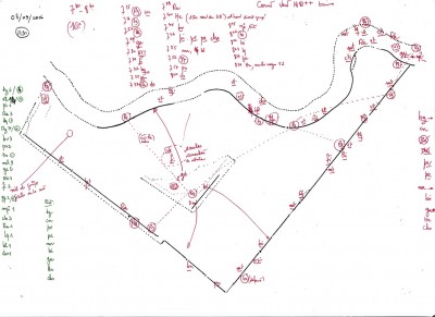 Feuille de terrain. Les deux saules arrachés au centre du pré sont attractifs pour les pouillots!