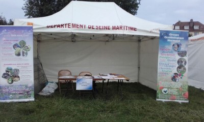 Le stand GONm à la fête d'Hautot sur Mer.