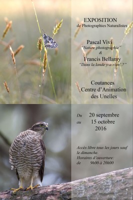 Affiche de l'exposition
