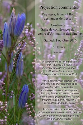 Programme de l'exposition
