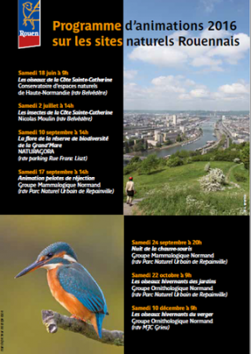 Affiche du programme rouennais d'animation.