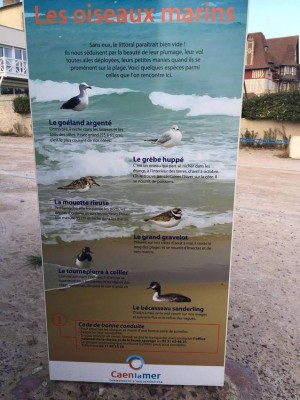 Panneau informatif de Caen la Mer ( Photo : William Duvernoy)