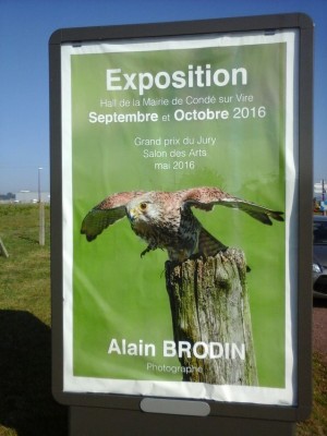 Affichage municipal Condé sur Vire