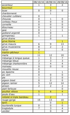 Liste et abondances relatives des espèces rencontrées en octobre