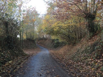 La topographie encaisse les petites routes communales. Les talus boisés créent une ambiance forestière riche en rencontres.